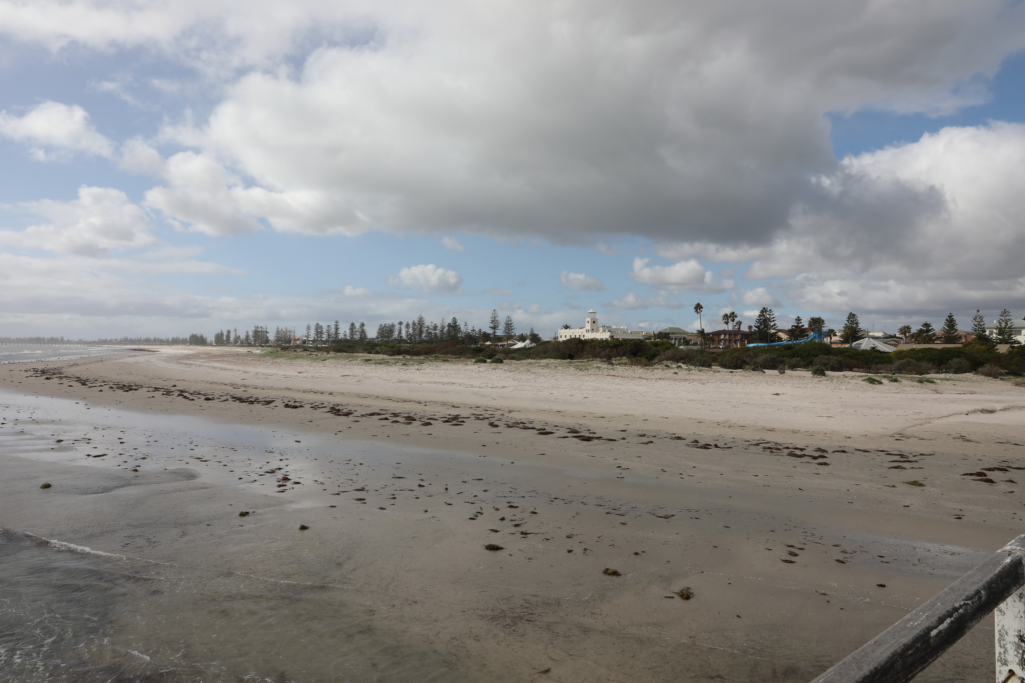 2019 08 11 14 25 39 Canon EOS 5D Mark IV 0005